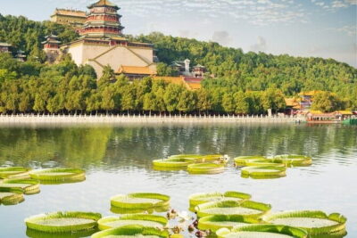 BusDa-Full-Day Bus Trips: Mutianyu, Summer & Old Summer Palaces - Stop 1: Mutianyu Great Wall—best-preserved views with optional thrill rides