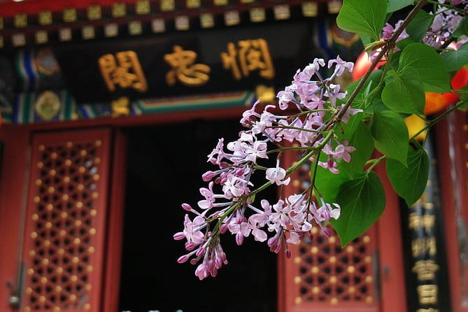 BusDa-Full-Day Bus Trips: Mutianyu, Summer & Old Summer Palaces - Optional extras: cable car, toboggan, boats, and the small costs that change your day