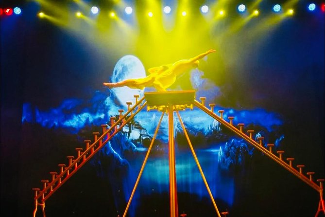 Chaoyang Acrobatics Ticket - Tickets, QR Codes, and the Strict Rules You Should Respect