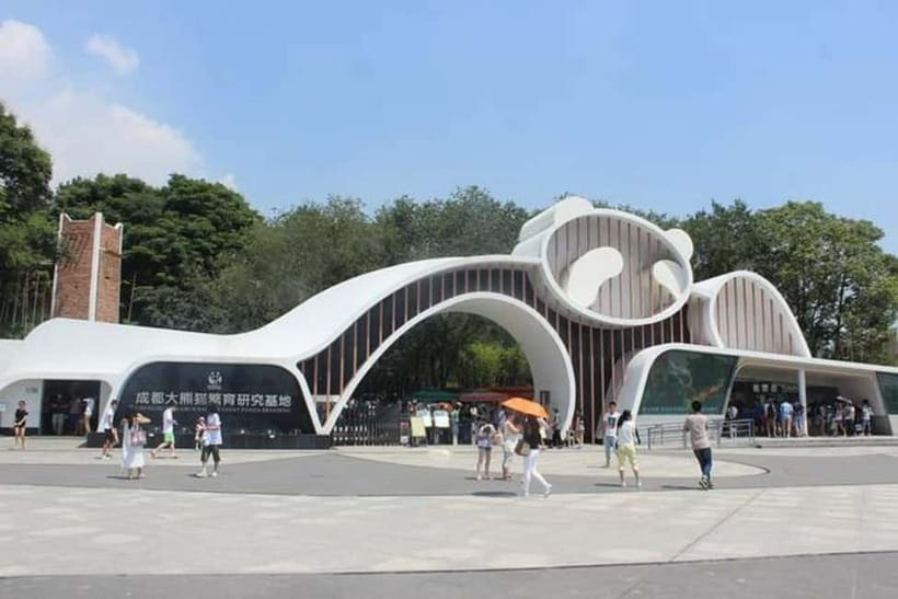 Chengdu Panda Base and Dujiangyan One-Day Private Tour - A Panda Morning and Dujiangyan Engineering in One Long Day