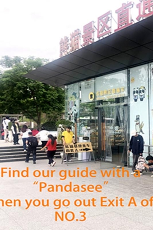 Chengdu panda base half day tour - Key Highlights You’ll Actually Feel During the Tour