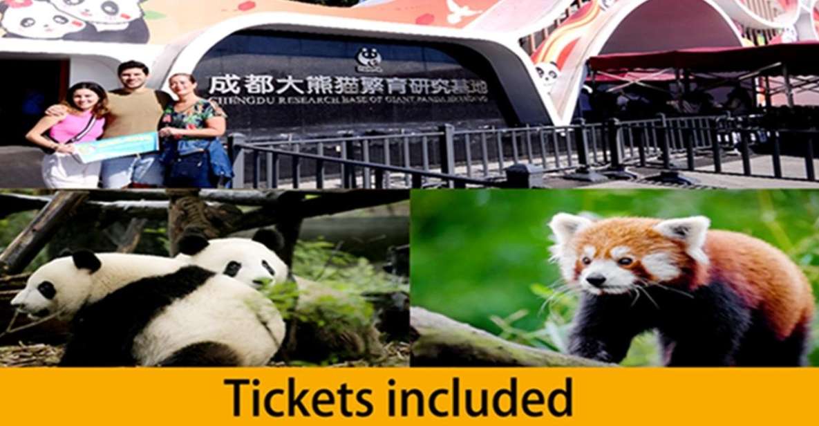 Chengdu panda base half day tour - Meeting Your Guide at Panda Avenue: Where the Tour Begins