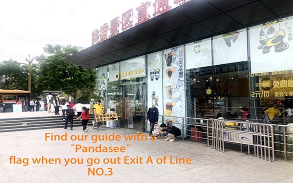 Chengdu panda base half day tour - Price and Value: Is $99 Worth It?