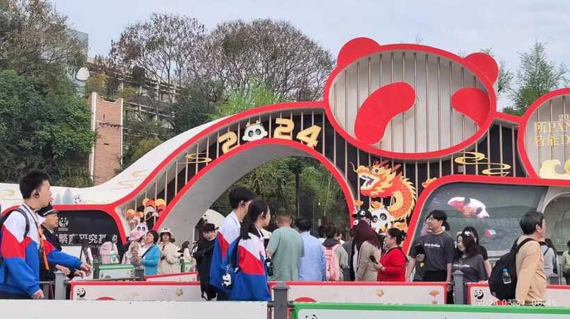 Chengdu: Panda Breeding Base Tickets Booking - Price and value at $19, plus the small practical stuff that matters
