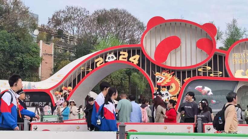 Chengdu: Panda Breeding Base Tickets Booking - Morning timing: when pandas are most active and easier to spot