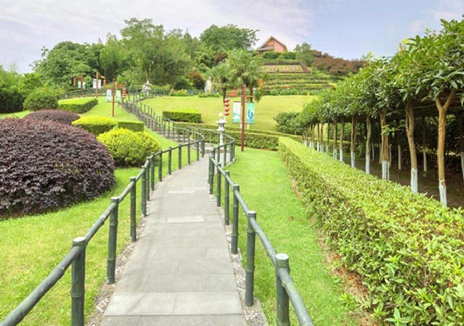 Chengdu panda & Leshan Buddha One Day Private Tour - Getting to both icons without wasting a day
