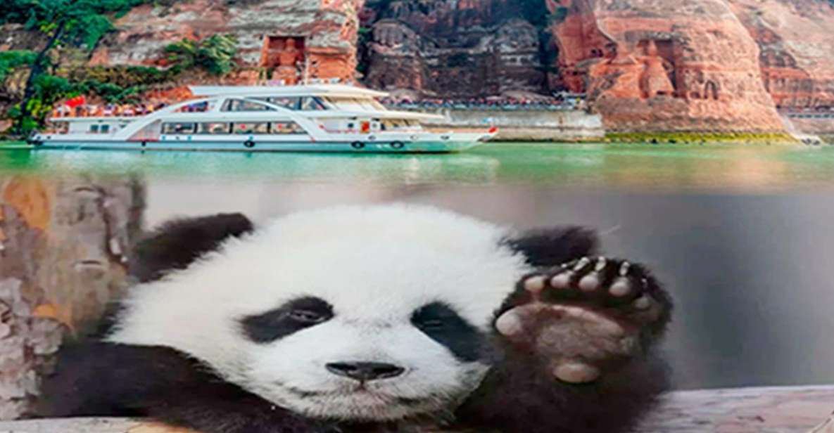 Chengdu panda & Leshan Buddha One Day Private Tour - Chengdu Panda Base: how the route helps you see pandas doing things