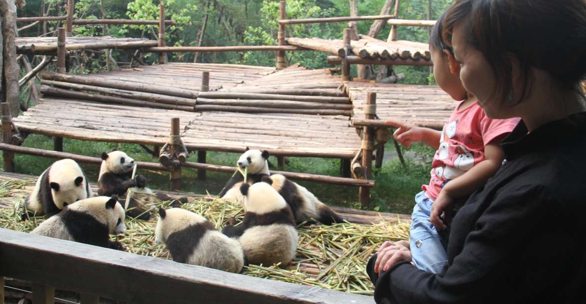 Chengdu: Private Panda Base Tour with 80 Pandas - Chengdu Panda Base: the real reason to book this private option