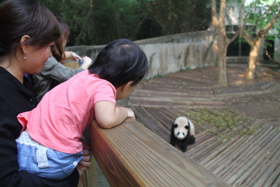Chengdu: Private Panda Base Tour with 80 Pandas - Inside the Chengdu Giant Panda Breeding Research Base