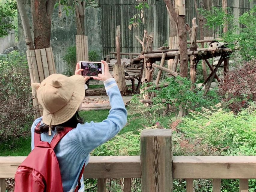 Chengdu: Private Panda Base Tour with 80 Pandas - How the guide makes or breaks your panda time