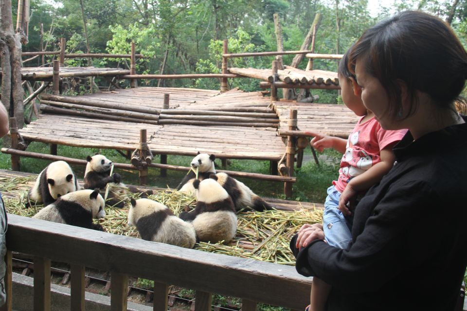 Chengdu: Private Panda Base Tour with 80 Pandas - Your timing choice: 7:30am vs 12:30pm