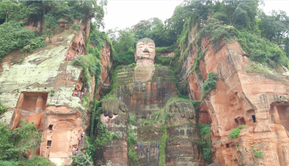 Chengdu Private Tour of Leshan Buddha and Panda Base - Private transport from your hotel: comfortable, efficient, and worth paying for