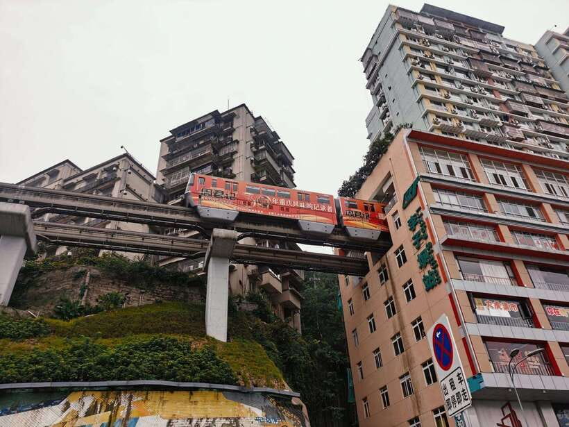 Chongqing: 1-day Essential Guided City Tour without Car - Why Chongqing Feels Different the Moment You Arrive