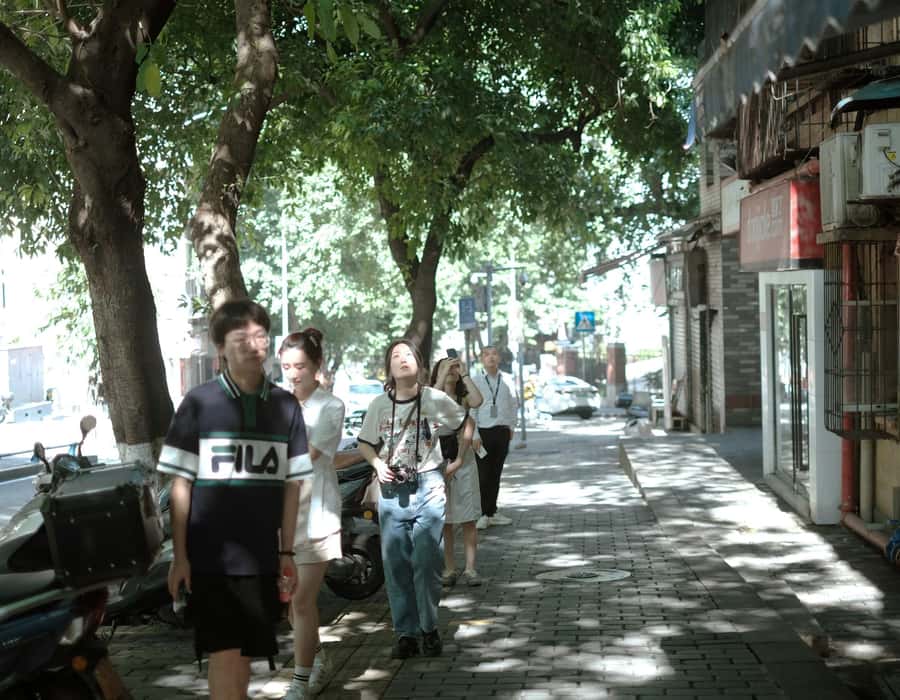 Chongqing 4-hour Hidden City Walking Tour with Local Guide - The vertical neighborhood walk: sky bridges, staircases, and abandoned corners