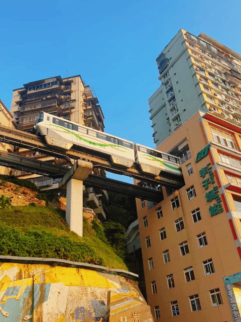 Chongqing Private City Tour: Must-Sees All-in-One - Danzishi dinner and night views: where the skyline starts to glow