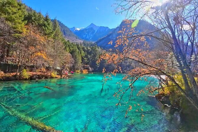 Classic 3-Day Jiuzhaigou Private Tour(Transportation+Tickets) - Key reasons this Jiuzhaigou + Huanglong tour is worth your time