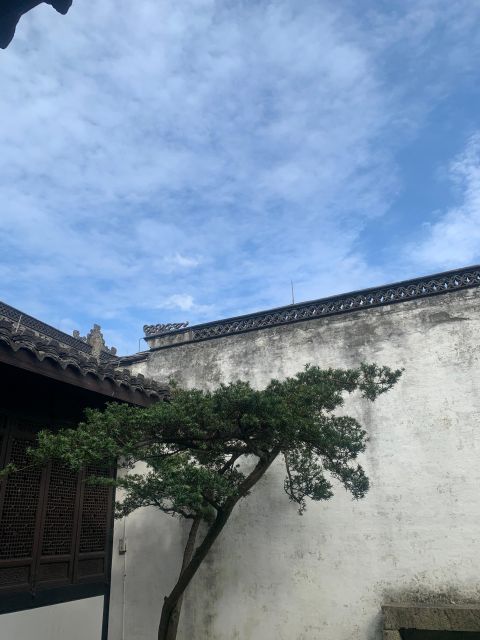 Customized Hangzhou Guided Tour Based on Your Interests - Yunxi Bamboo Path: A Calm Walk That Resets Your Pace