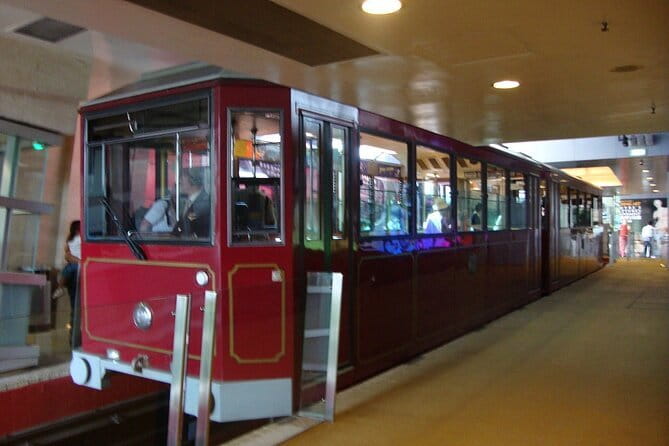 Deluxe Hong Kong City Tour using Mercedes-Benz V-Class Car+ Guide - Entering Hong Kong at 4:00 pm for a smooth night schedule