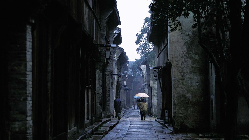 Delve into Wuzhen Water Town: Private Tour from Shanghai - Price and value for $264 per person: what you’re actually paying for