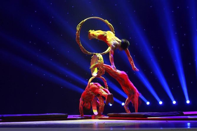 Din Tai Fung Dinner Experience and Acrobatics Show in Shanghai - Should You Book This Din Tai Fung and Acrobatics Evening?