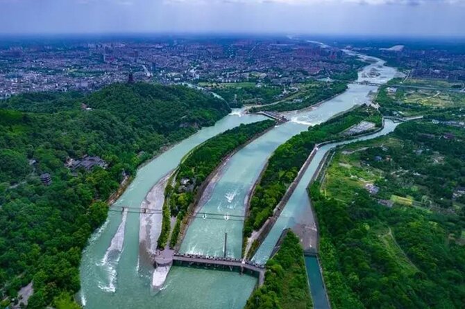 Dujiangyan irrigation+Mt. Qingcheng or Panda Park Day Tour - Mt. Qingcheng: Forest air, oxygen-bar vibes, and the cable car decision