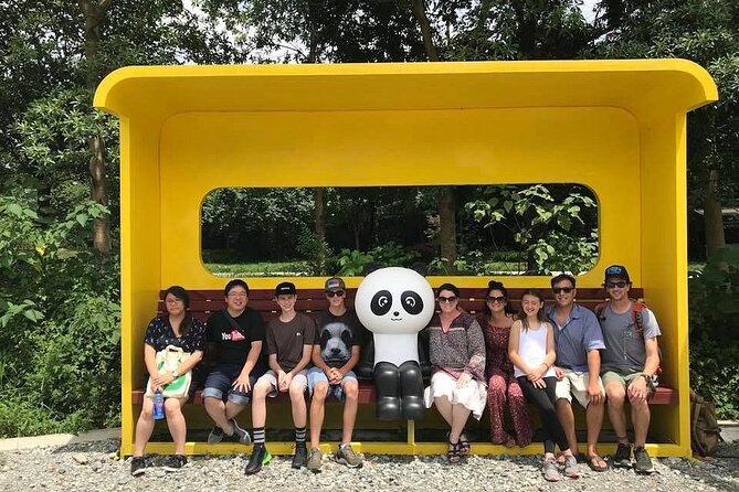 Dujiangyan irrigation+Mt. Qingcheng or Panda Park Day Tour - Dujiangyan Panda Park: Better odds for calm panda viewing