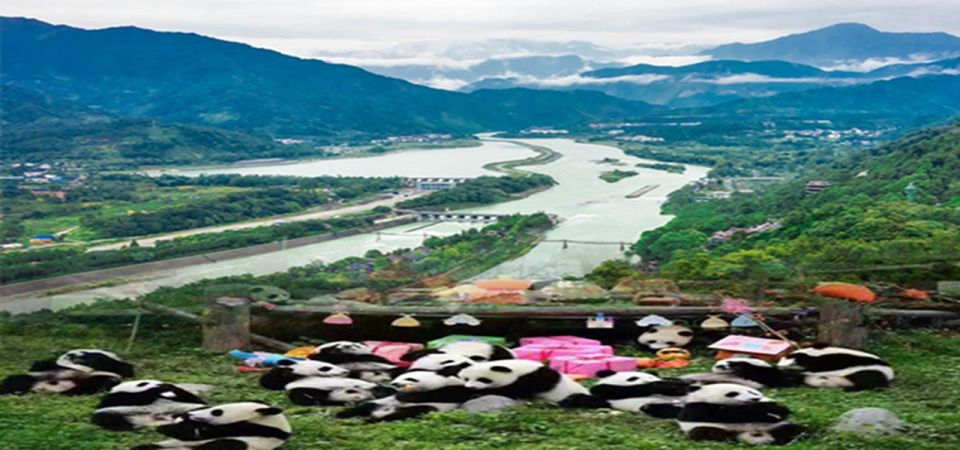 Dujiangyan panda base and irrigation system park day tour - Zhongshuge and the only Hogwarts Library in China