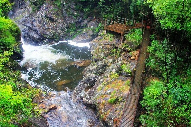 Dujiangyan Panda Base and Mount Qingcheng - Driver Help, Language, and Lunch Options That Actually Work