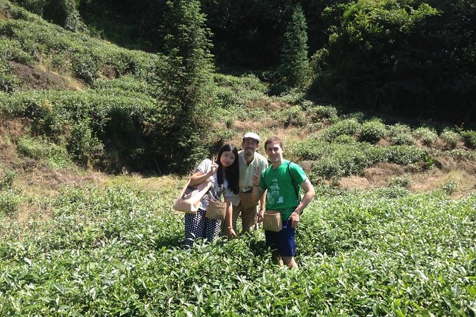 Experience Chengdu: Private Tea-Making Day Tour of Mengdingshan Tea Plantation - The 9:00 AM Pickup and the Ride Up: Expect Real Travel Time