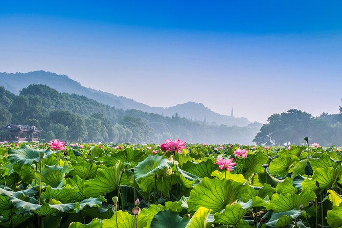 Flexible Hangzhou Private Day Tour with Lunch - Picking your departure time and moving like a local