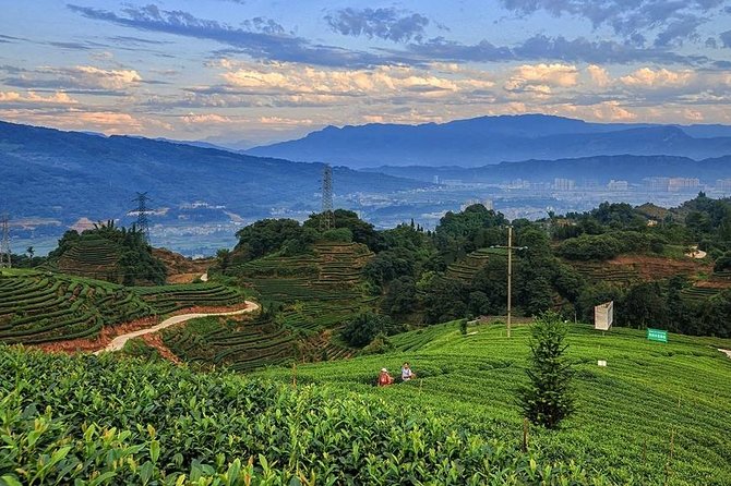 Flexible Hangzhou Private Day Tour with Lunch - Lingyin Temple complex: pagodas, grottoes, and how to walk it well