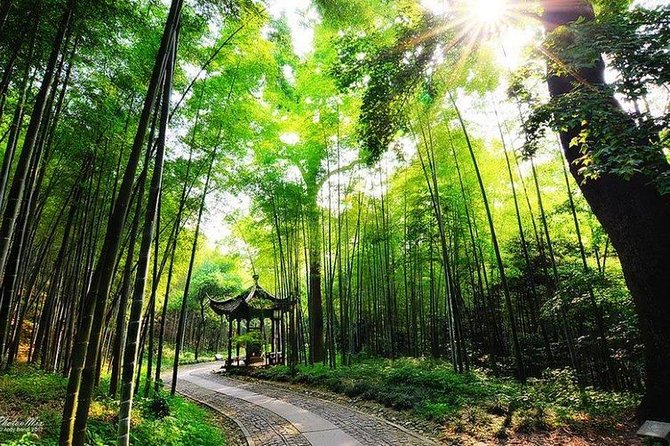 Flexible Hangzhou Private Day Tour with Lunch - Leifeng Pagoda: that city-wide viewpoint moment