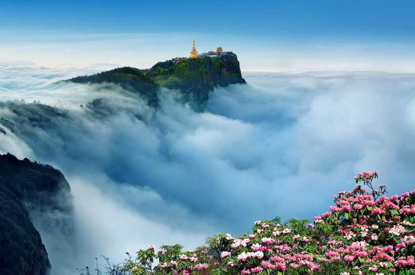 From Chengdu: Mount Emei Day Trip with Golden Summit Visit - Who should book this Mount Emei day trip from Chengdu