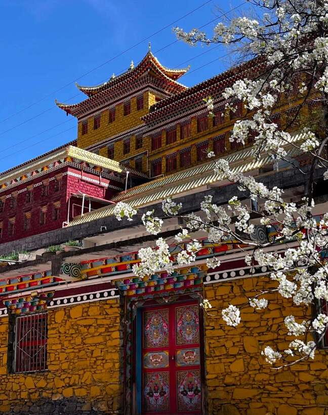 From Chengdu: Tibetan Village Live as a Tibetan Day Tour - Butter tea-making: the hospitality skill you can bring home