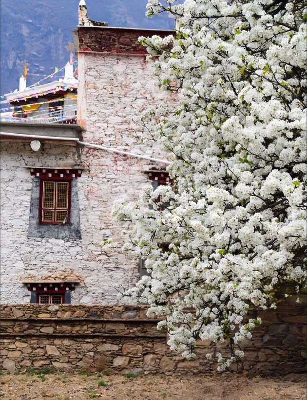 From Chengdu: Tibetan Village Live as a Tibetan Day Tour - Price and logistics: is $159 good value from Chengdu?