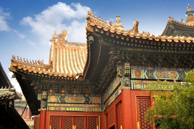 Full-Day Beijing City Tour: Hutongs, Lama Temple and Panda House - A full-day loop through Beijing’s past, faith, and icons