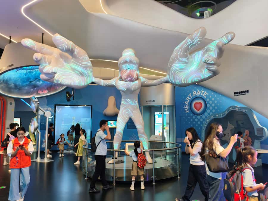 Gen-Z Private Tour: Shenzhen Tech Marvels - Robotics showroom: where you see robots do the work, not just pose