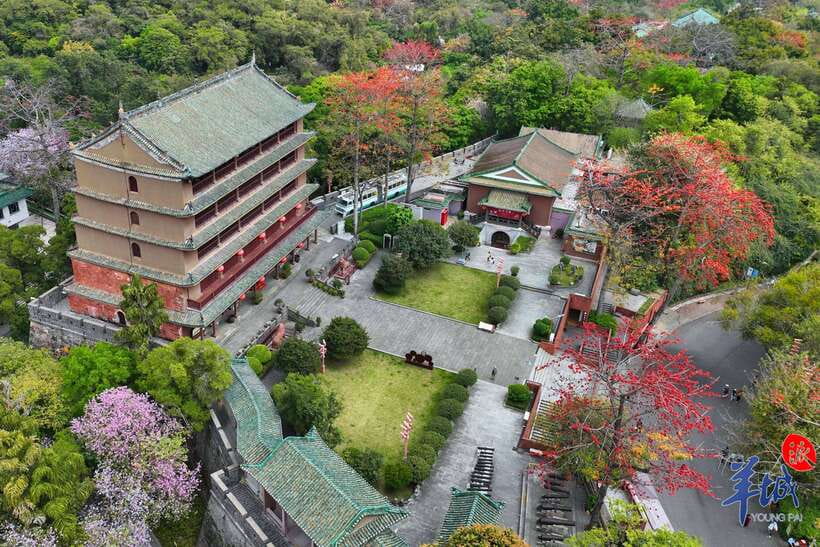 Guangzhou Full Day City Tour with Old and New Highlights - Chen Clan Ancestral Hall: Art, Status, and Lingnan Pride