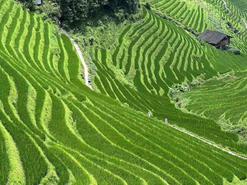 Guilin: Day tour of Longji Rice Terraces and Yangshuo - Key Points That Make This Day Tour Work
