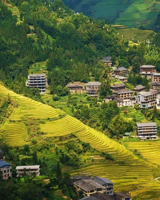Guilin Longji: Rice Terrace with Oil-Tea Demo & Zhuang Lunch - Key things I’d plan for