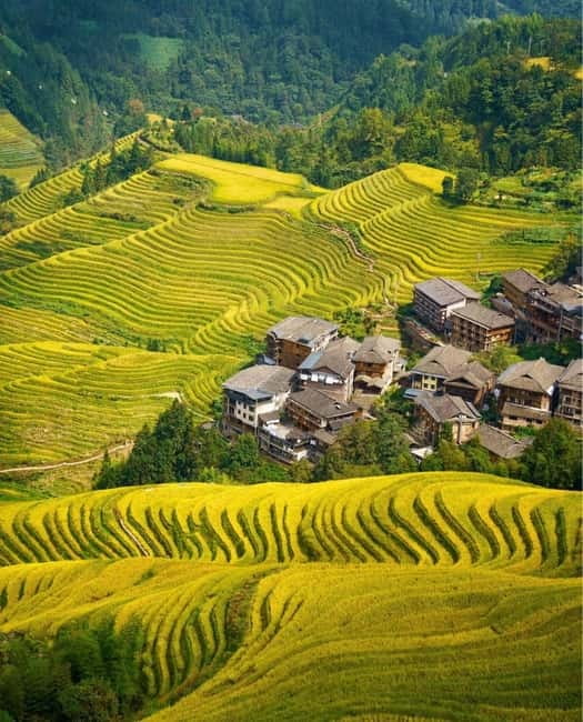 Guilin Longji: Rice Terrace with Oil-Tea Demo & Zhuang Lunch - Guzhuang Village: old homes, costume stories, and an agriculture mindset