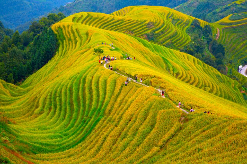 Guilin Longji Terraces Private Day Tour - Key Things You’ll Notice on This Tour