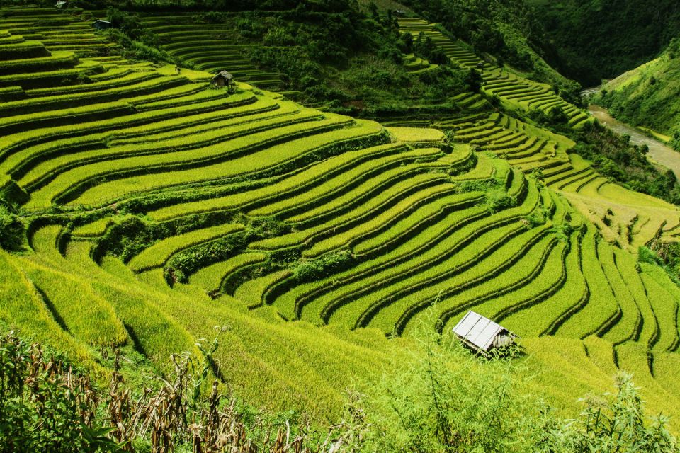 Guilin Longji Terraces Private Day Tour - A Quick Lunch and the Smart Shift Toward Longji Terraces