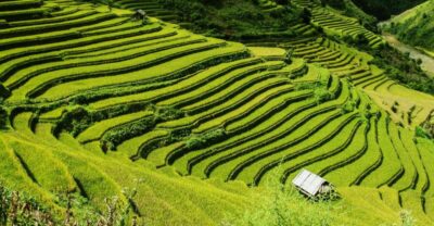 Guilin Longji Terraces Private Day Tour - Huangluo Village and the Long Hair Show You’ll Actually Remember
