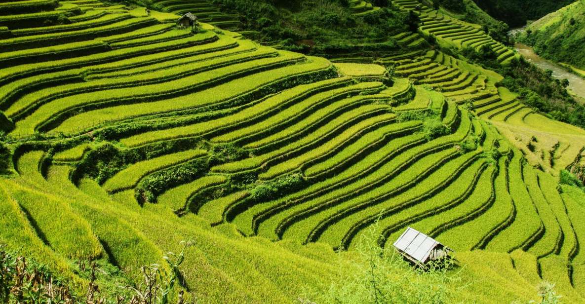 Guilin Longji Terraces Private Day Tour - Huangluo Village and the Long Hair Show You’ll Actually Remember