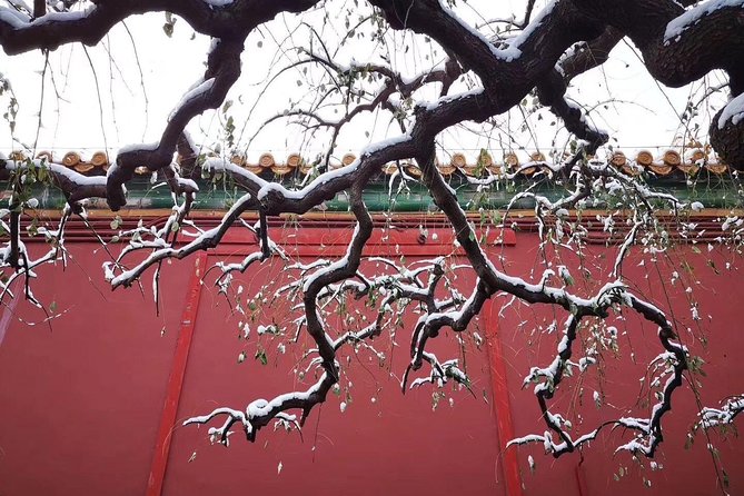 Half Day Beijing Group Tour to Tiananmen Square and Forbidden City - The logic of this half-day: you see the pair, not just one