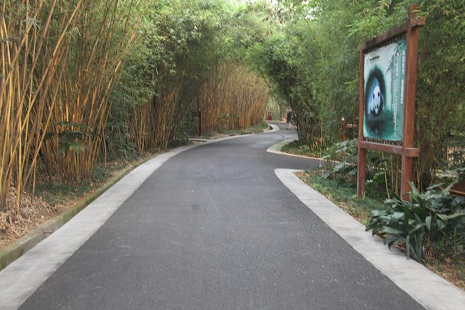 Half-Day Chengdu Panda Research Base Private Tour - Half-Day Panda Power: What You’re Really Getting in 4 Hours