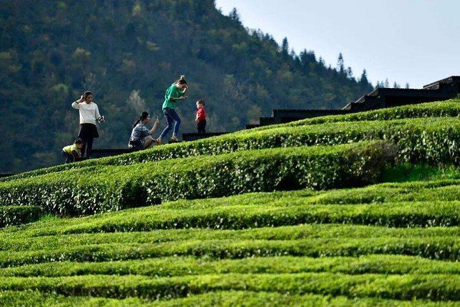Half-Day Flexible Private Hangzhou Highlight Tour - Getting picked up: less hassle, more Hangzhou time