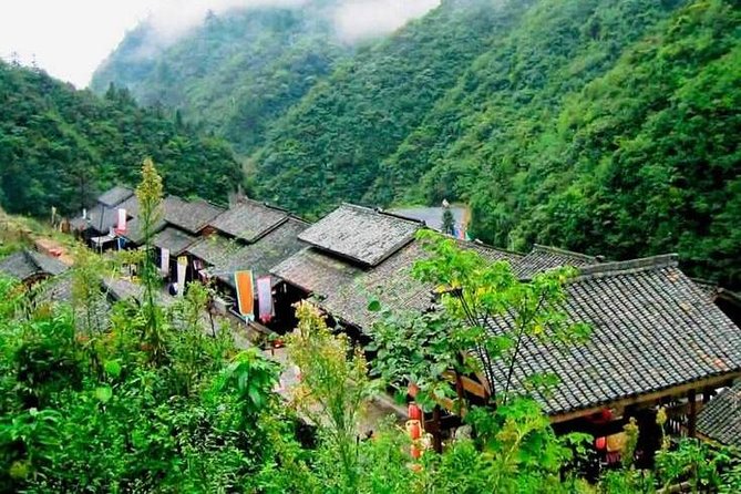 Half-Day Flexible Private Hangzhou Highlight Tour - Longjing tea fields: Dragon Well tea country without the big detour