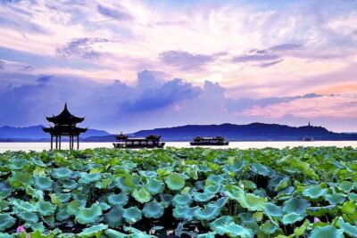 Half-Day Flexible Private Hangzhou Highlight Tour - West Lake in one hour: what to do with the time you have